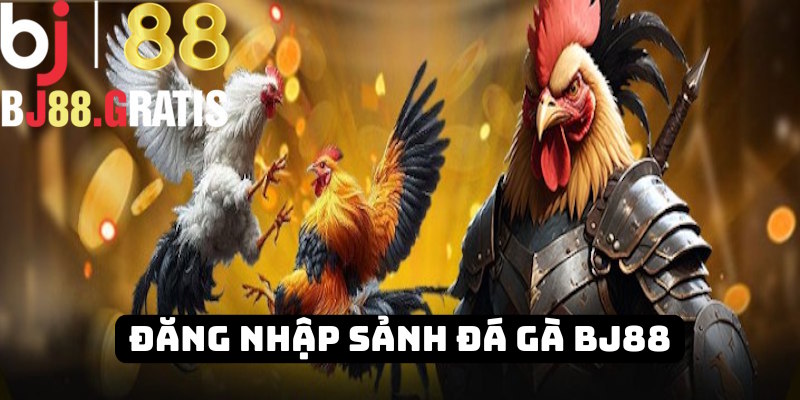 Đăng nhập BJ88 sảnh cược gà chọi