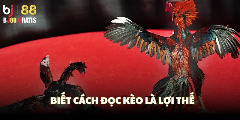 Anh biết cách đọc kèo theo biến động thời gian thực Anh biết cách đọc kèo theo biến động thời gian thực