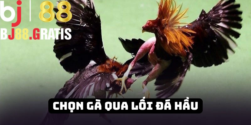 Chọn “thí sinh” thông qua lối đá hầu BJ88