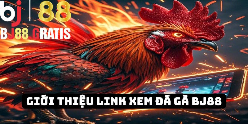 Thông tin cơ bản về link vào đá gà BJ88 Thomo