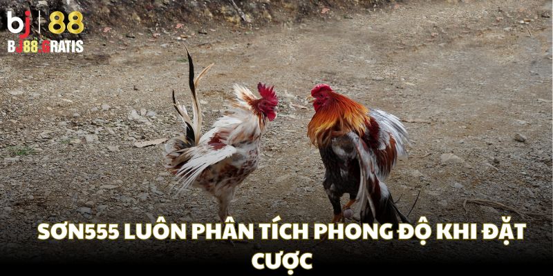 Anh Sơn luôn phong tích phong độ khi đặt cược Anh Sơn luôn phong tích phong độ khi đặt cược