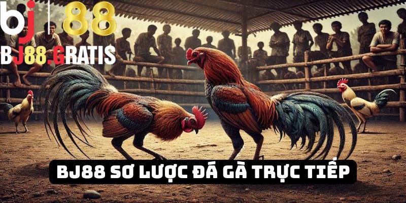 Thông tin đá gà trực tiếp BJ88