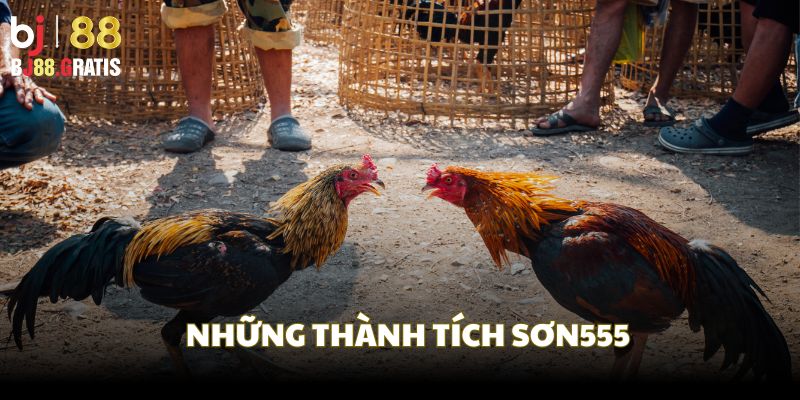 Những thành tích đáng nể của Sơn555 khi chơi tại BJ88 Những thành tích đáng nể của Sơn555 khi chơi tại BJ88