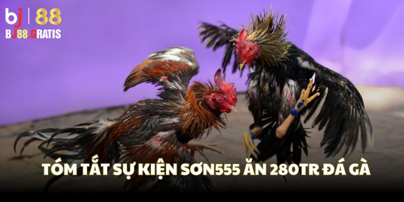 Tóm tắt sự kiện Sơn55 ăn trọn 280tr đá gà Tóm tắt sự kiện Sơn55 ăn trọn 280tr đá gà