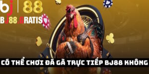 Khách hàng có thể chơi đá gà trực tiếp tại Bj88 không?